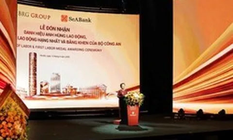 Cổ phiếu SeABank tăng kịch trần sau khi doanh nhân Nguyễn Thị Nga được trao tặng Danh hiệu Anh hùng Lao động
