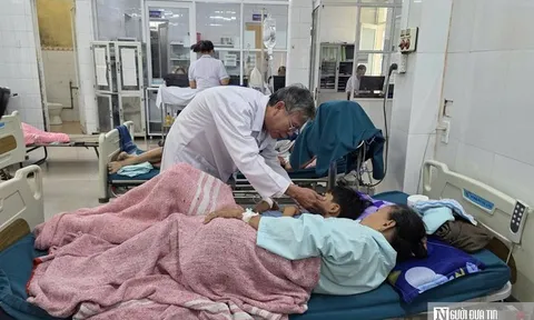 Ngộ độc bánh mỳ khiến nhiều người nhập viện: Thách thức trong khoảng trống quản lý cơ sở