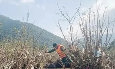 Nam thanh niên rơi xuống sông mất tích khi qua cầu phao ở Sơn La