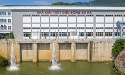 Hai công ty thủy điện sắp chia cổ tức, nhóm REE nhận về hàng chục tỷ đồng