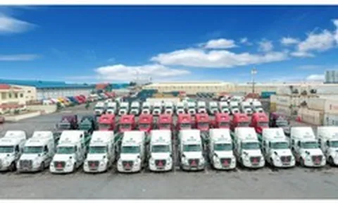Hai Phó Tổng giám đốc Viconship thoái sạch vốn