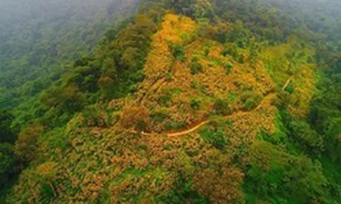 Một “kỳ quan” chưa từng có sắp xuất hiện ở Hà Nội: Rộng 580ha, được đầu tư 10.000 tỷ đồng