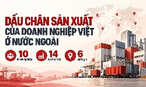 VinFast, THACO, Vinamilk và loạt ông lớn Việt mang hàng tỷ USD ra nước ngoài xây nhà máy, phát triển vùng nguyên liệu