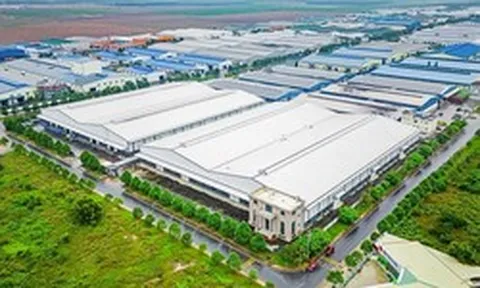 Thành viên của Thaco được giao hơn 700ha đất để làm dự án