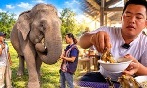 Vạch trần chiêu trò câu view của chủ kênh 'Già làng Tây Nguyên' và Hải Sapa TV