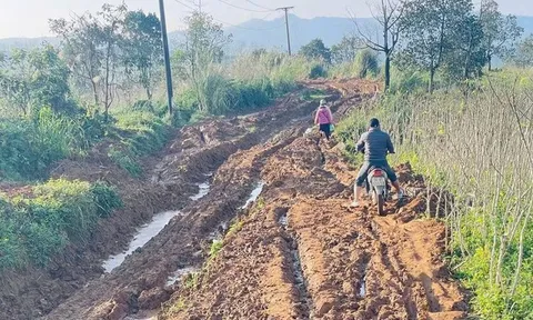 Dự án CRIEM 921 tỷ đồng tại Quảng Trị: Vướng mặt bằng, nhà thầu chưa thể thi công