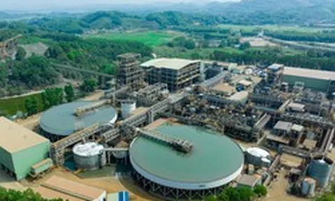 MSR mở rộng năng lực chế biến vonfram tại Việt Nam