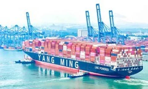 Siêu tàu container thế hệ mới lần đầu cập Cảng Quốc tế Tân Cảng - Cái Mép
