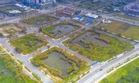 Niêm yết đấu giá 4 lô 'đất vàng' ở Thủ Thiêm