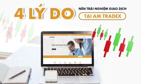 Vì sao nhà đầu tư nên giao dịch tại sàn AM Tradex?