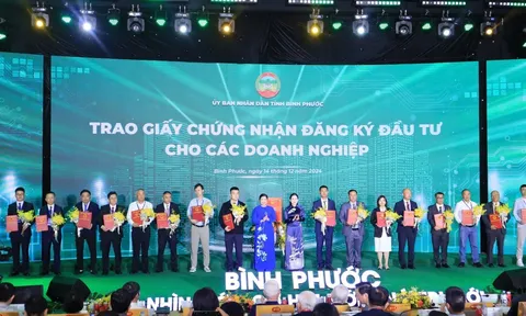 Thành Phương Real: Kiến tạo hệ sinh thái công nghiệp đa ngành