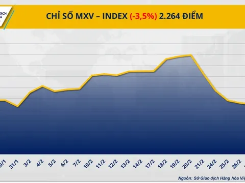 Thị trường hàng hóa ‘đỏ lửa’ kéo MXV-Index rơi xuống đáy trong 9 tuần