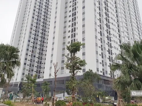Thu hồi hàng nghìn căn chung cư là tài sản công bị sử dụng sai mục đích