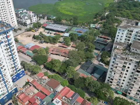 Tạm dừng kiểm kê đất đai cấp tỉnh đến khi sáp nhập xong