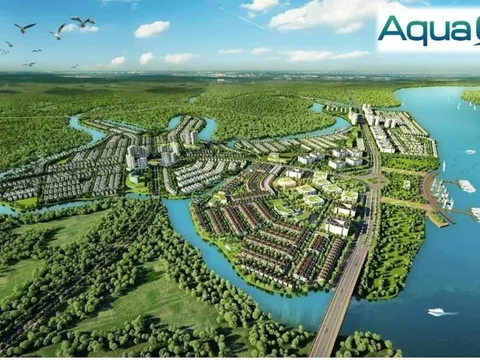 Công ty con của Novaland, chủ đầu tư Aqua City 'quay xe' từ lỗ 100 tỷ nửa đầu năm 2024 thành lãi 546 tỷ cả năm