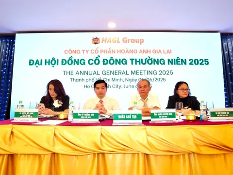 Ứng viên được nhóm Thaigroup và LPBS để cử vào HĐQT Hoàng Anh Gia Lai đã rút hồ sơ