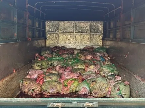 HĐND Nghệ An đưa vấn đề hàng giả, hàng nhái, thực phẩm bẩn vào chất vấn