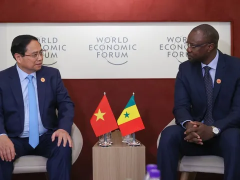 Senegal mong muốn Việt Nam tiếp tục hỗ trợ sản xuất lúa gạo và hạt điều