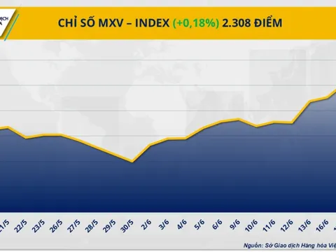 Giá dầu thô cao nhất kể từ đầu năm, giá cà phê Robusta lao dốc 6%