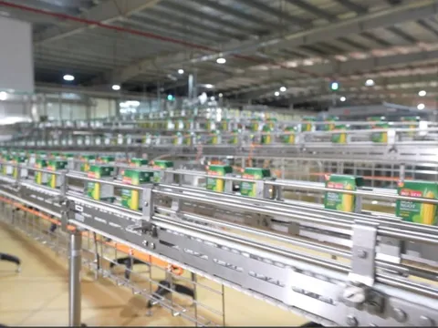 Khánh thành dây chuyền đồ hộp giấy công suất 6.000 hộp/giờ, giảm chất thải, tăng hạn sử dụng cho thực phẩm mà không cần chất bảo quản