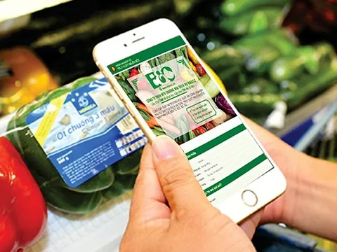 Tiếp tục rà soát xuất xứ, truy xuất nguồn gốc hàng hóa