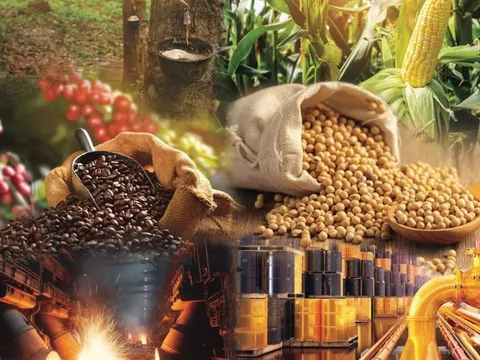 Thị trường hàng hóa nguyên liệu thế giới quay đầu giảm do lo ngại thuế quan từ Mỹ
