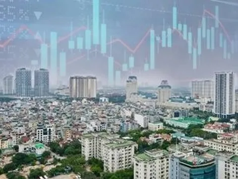 Cổ phiếu bất động sản tiếp tục nổi sóng, CEO, DIG, Novaland là tâm điểm, một DN đã tăng trần liên tiếp 11 phiên