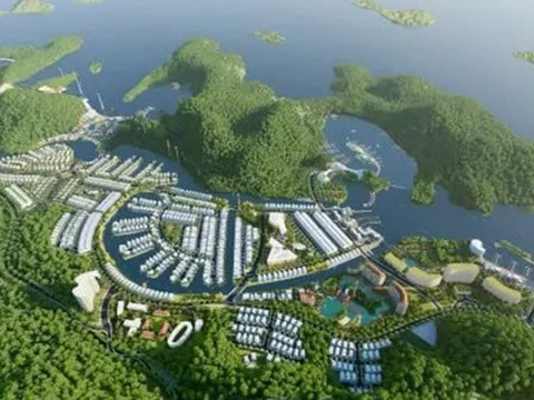 Vinaconex không còn là công ty mẹ của chủ đầu tư dự án Cát Bà Amatina