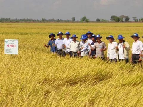 Tây Ninh tăng tốc Tổng điều tra nông thôn, nông nghiệp 2025, quyết cán đích trước 30/7
