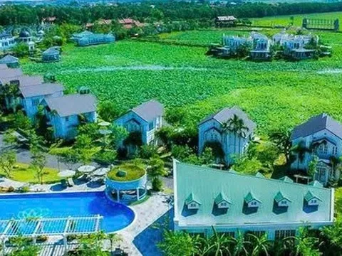 TIG muốn chuyển nhượng công ty con tại Hungary