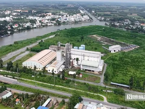 Nhà máy bột giấy nghìn tỷ bỏ hoang, 45ha "đất vàng" phủ đầy cỏ dại