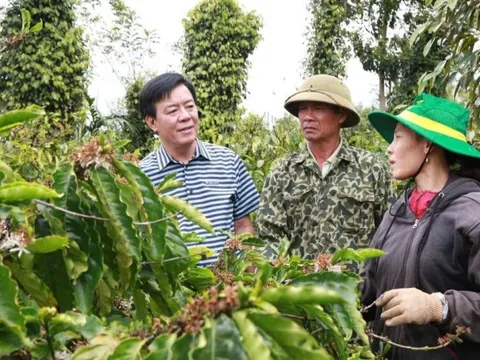 Bình Điền: Hành trình hơn nửa thế kỷ phụng sự nông dân và tầm nhìn tiên phong xanh hóa - số hóa
