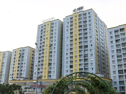 CII bảo lãnh cho Năm Bảy Bảy vay 5.000 tỷ đồng tại VPBank