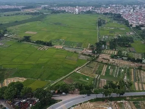 Hướng dẫn các căn cứ để thực hiện thu hồi đất, cho phép chuyển mục đích sử dụng