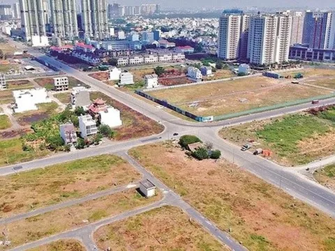 Ninh Bình đấu giá khu đất 8.000 m2 nằm giáp Bệnh viện Việt Đức 2