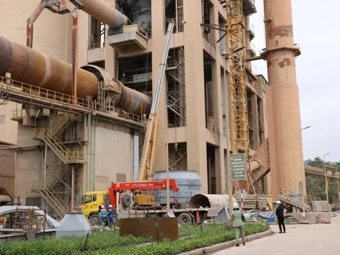 Doanh nghiệp xi măng báo lãi cao nhất 13 quý, cổ phiếu tăng kịch trần