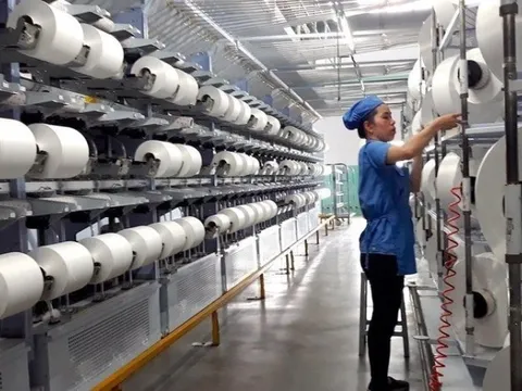 'Cú đấm' của tỷ giá khiến công ty sợi trên sàn giảm 87% lợi nhuận trong quý 3