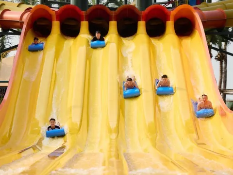 Flora Avenue: Tọa độ an cư và đầu tư đa dạng tại Sun Group Nam Hà Nội