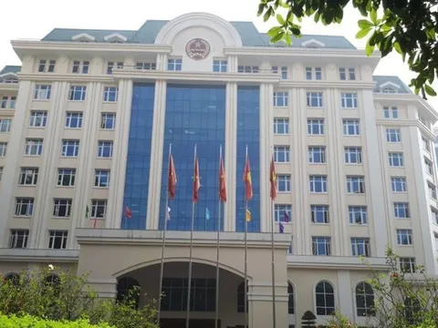 Ngành thuế cấp bách khảo sát, hoàn thiện cơ sở dữ liệu hộ kinh doanh