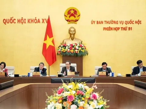 Ủy ban Thường vụ Quốc hội phê chuẩn kết quả bầu, miễn nhiệm nhân sự