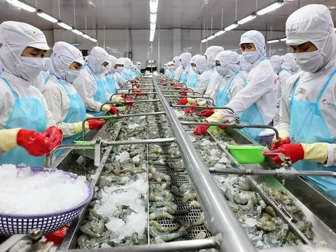 Không được nghỉ cuối tuần, doanh nghiệp thuỷ sản chật vật tuyển lao động