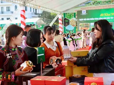 Khai mạc Ngày hội sản phẩm vùng đồng bào dân tộc thiểu số và miền núi phía Bắc