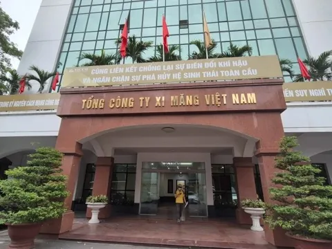 Vì sao 'ông trùm' xi măng thoái vốn tại nhiều doanh nghiệp?