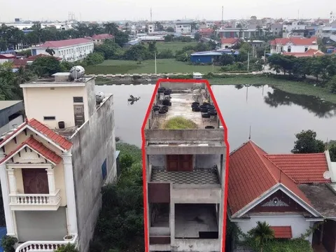 Hải Phòng xem xét trách nhiệm chủ tịch xã, phường để xảy ra vi phạm đất đai