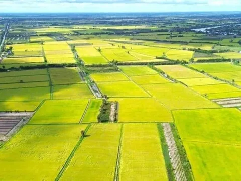 Giá đất nông nghiệp vài trăm nghìn đồng/m², quá thấp so với đất ở: Có nên tăng?