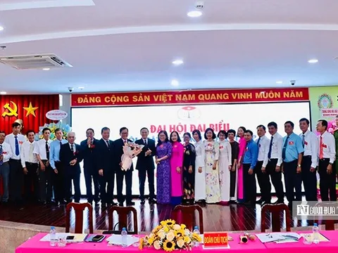 Phát huy vai trò luật gia trong hoàn thiện hệ thống pháp luật tại Đồng Tháp