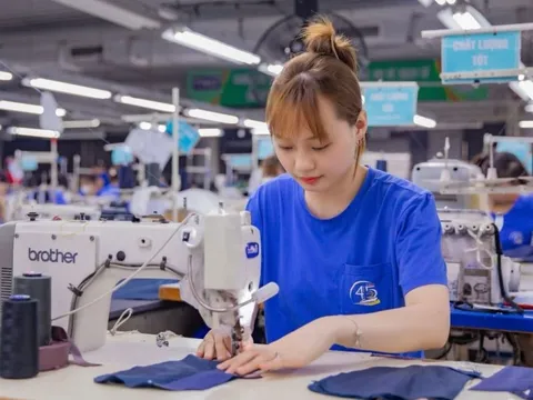 TNG lập kỷ lục mới về doanh thu, doanh nghiệp dệt may đón 2026 với triển vọng tích cực