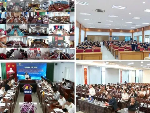 Ngành Thuế triển khai đồng bộ về xử phạt vi phạm thuế, hóa đơn