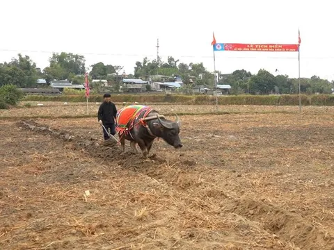 Lễ hội Lồng Tồng ATK Định Hóa – Gìn giữ mạch nguồn văn hóa giữa “Thủ đô gió ngàn”