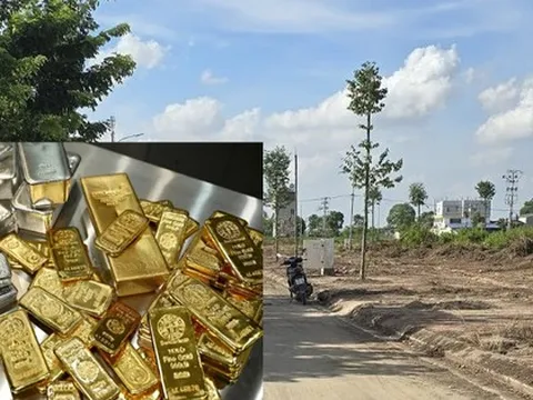 Bỏ 3 tỷ mua 2.800m2 đất tỉnh lúc sốt để rồi "chôn vốn" 4 năm, nhà đầu tư tiếc nuối: "Nếu lúc đó mua vàng giờ đã lãi gần 6 tỷ đồng"